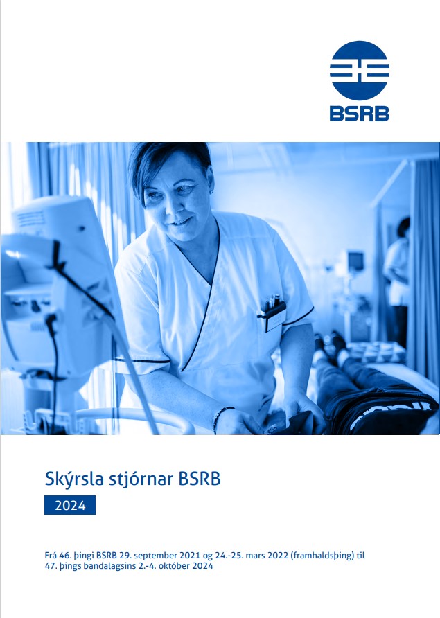 Skýrsla stjórnar fyrir 47. þing BSRB